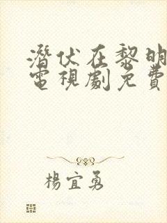 潜伏在黎明之前电视剧免费观看全集