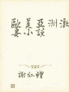 欧美亚洲激情人妻小说
