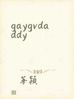 gaygvdaddy封面