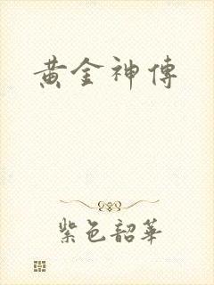 黄金神传封面