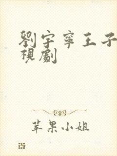 刘宇宁王子文电视剧