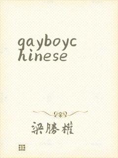 gayboychinese