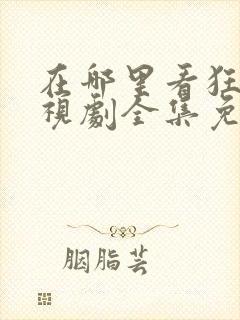 在哪里看狂飙电视剧全集免费播放