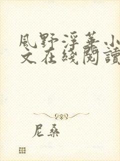 风野浮华小说全文在线阅读