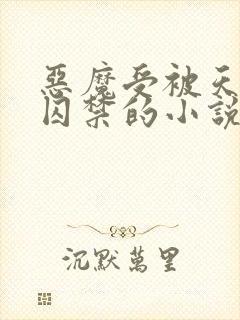 恶魔受被天使攻囚禁的小说封面