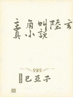 主角叫陆玄的修真小说封面
