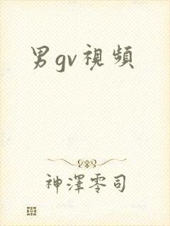 男gv视频封面