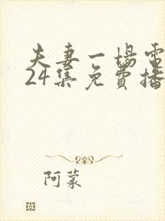 夫妻一场电视剧24集免费播放