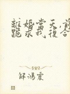 离婚当天,前夫跪求我复合短剧封面