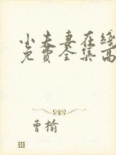 小夫妻在线观看免费全集高清完整