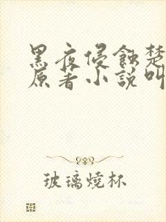 黑夜侵蚀楚辰安原著小说叫什么