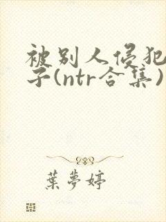 被别人侵犯的妻子(ntr合集)封面