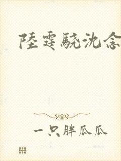 陆霆骁沈念