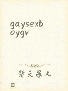 gaysexboygv封面