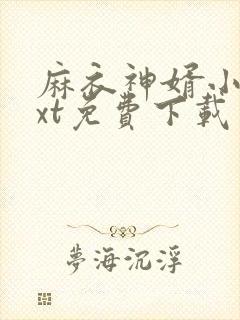 麻衣神婿小说txt免费下载