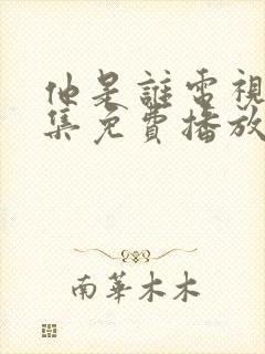 他是谁电视剧全集免费播放完整版封面