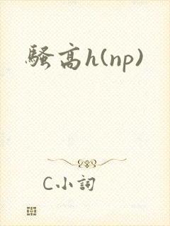 骚高h(np)封面