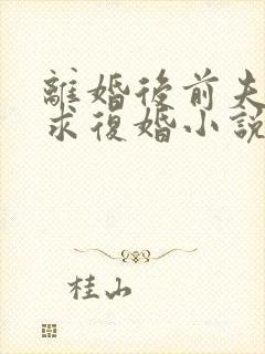 离婚后前夫哭着求复婚小说免费观看完整版封面