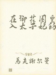 在御花园皇上进入太子妃的小说