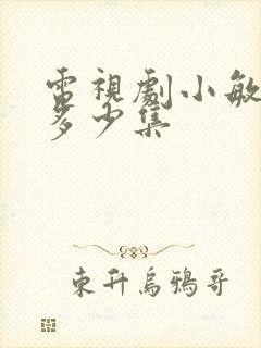 电视剧小敏家共多少集封面