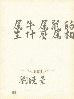 属牛属鼠的父母生什么属相的孩子