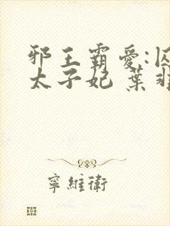 邪王霸爱:囚情太子妃 叶非夜