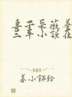 妻子采薇养父陆三平小说在人间封面