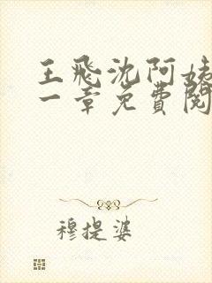 王飞沈阿姨第十一章免费阅读
