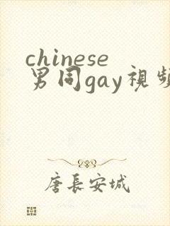 chinese男同gay视频网站封面