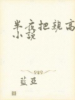 半夜把亲高潮了小说