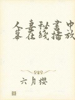 人妻秘书中文字幕在线播放