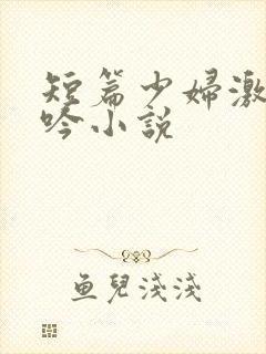 短篇少妇激情呻吟小说封面