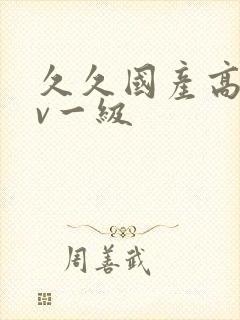 久久国产高清av一级