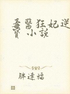 毒医狂妃逆天萌宝 小说