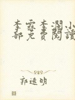 李霖李澜小说全部免费阅读