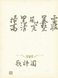 扫黑风暴电视剧高清完整版免费观看
