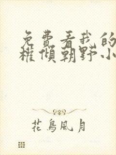 免费看我的夫君权倾朝野小说封面