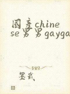 国产chinese男男gaygay在线播放网站