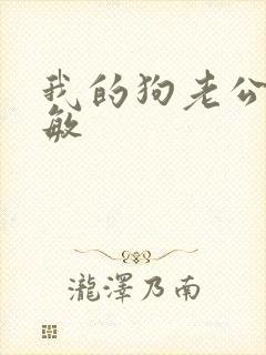 我的狗老公张淑敏封面