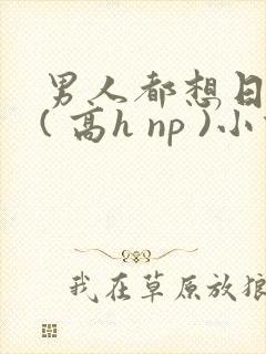 男人都想日她 ( 高h np )小说封面