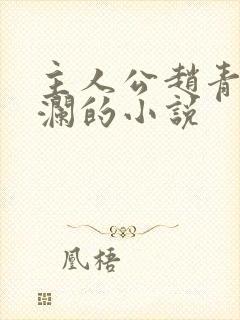 主人公赵青林安澜的小说