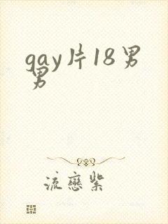 gay片18男男