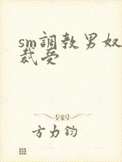 sm调教男奴总裁受