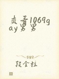 爽看1069gay男男
