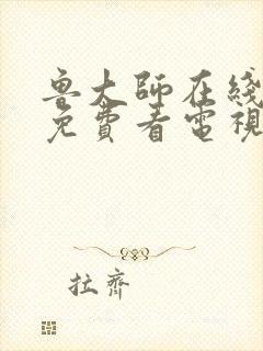 鲁大师在线高清免费看电视剧