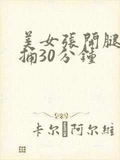 美女张开腿让我捅30分钟封面