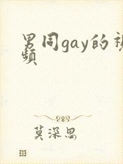 男同gay的视频