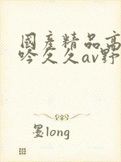 国产精品高潮呻吟久久av野狼