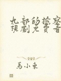 九部的检察官电视剧免费看全集