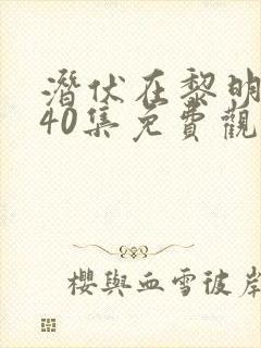 潜伏在黎明之前40集免费观看